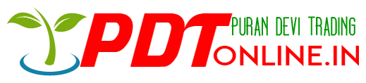 PDT Online logo